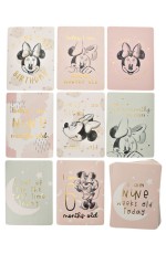 Dekoracija za slikanje - Disney, Minnie, Pink