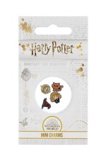 Privezak za ogrlicu set 4 - HP, Hermione
