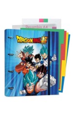 Fascikla Organajzer 4R - Dragon Ball, dividers, 100 str